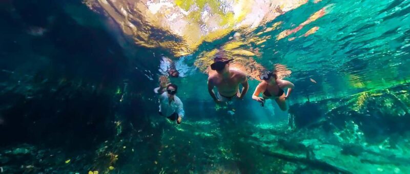 Sisal: Picnic PREMIUM en medio del mar y snorkel manantial - The Experience in Detail
