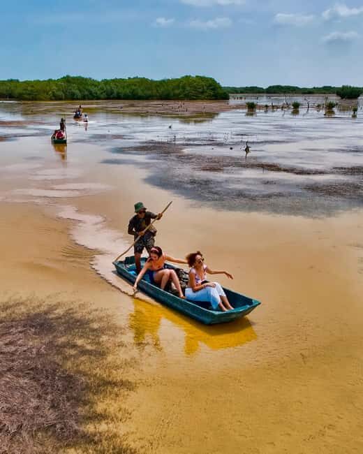 Sisal Yucatán: Flamingo Safari Tour Mangroves - Who Will Find This Tour Most Valuable?