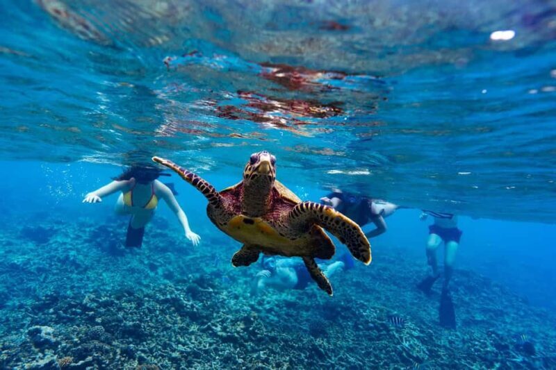 Sister, Coco, and Felicite Island: Seychelles Catamaran Tour - What Makes This Tour Stand Out?