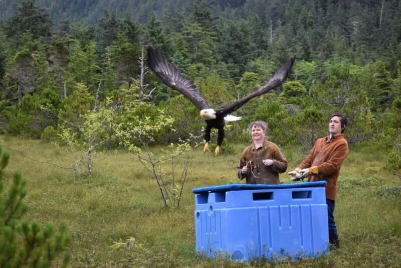 Sitka: Alaska Raptor Center Admission Ticket - Key Points