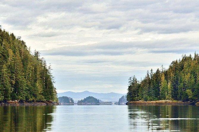 Sitka Boat and Sea Kayaking Adventure - The Value for Money