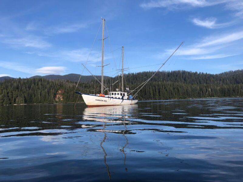 Sitka Boat Tours: whale watching, hot springs, kayaking - An In-Depth Look at the Adventure