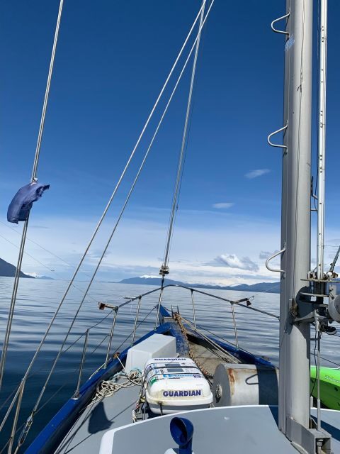 Sitka Boat Tours: whale watching, hot springs, kayaking - Final Thoughts