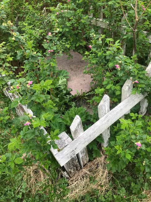 Sitka: Haunted Walking Tour - History and Haunts of Sitka - Final Thoughts