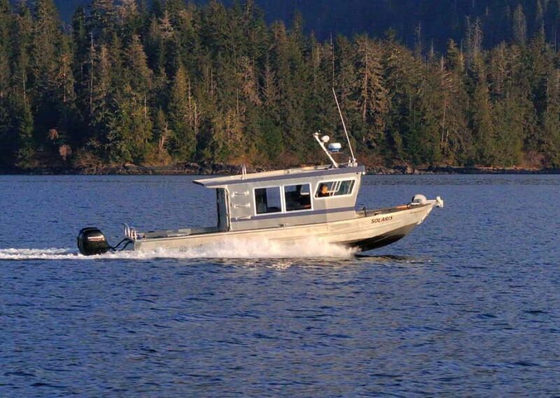 Sitka: Premiere Whale Watching and Wildlife Tour - A Detailed Look at the Sitka Wildlife Tour