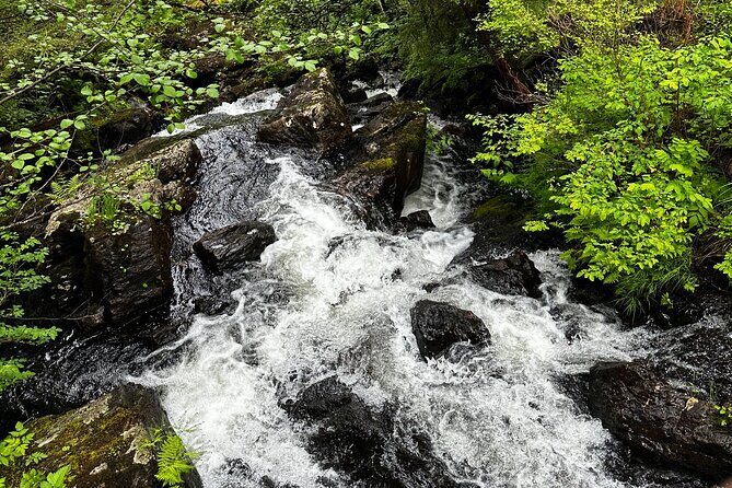 Sitka Private Adventure 4x4 Truck Tour & Lunch w/2 admissions - Practical Details and What to Expect