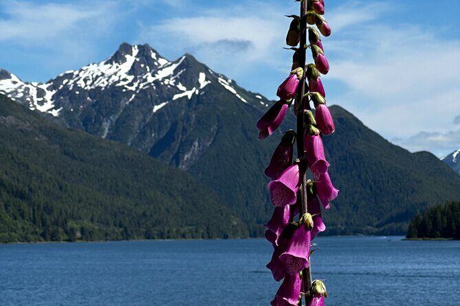 Sitka Private Adventure 4x4 Truck Tour & Lunch w/2 admissions - FAQ
