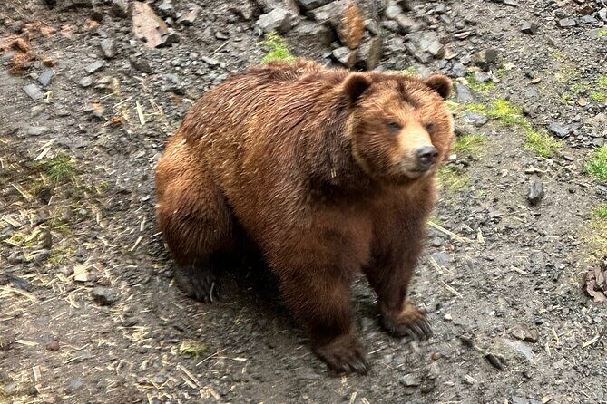 Sitka Scenic Private Tour - What Makes This Tour Special?