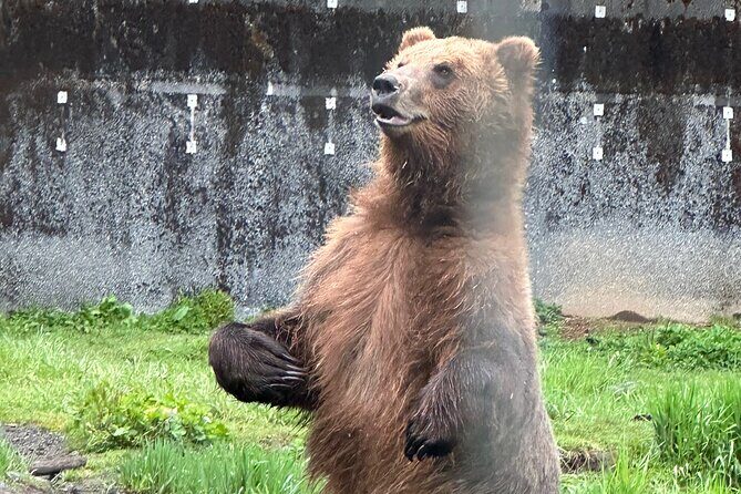 Sitka Scenic Private Tour - Cultural and Historic Highlights on Japonski Island