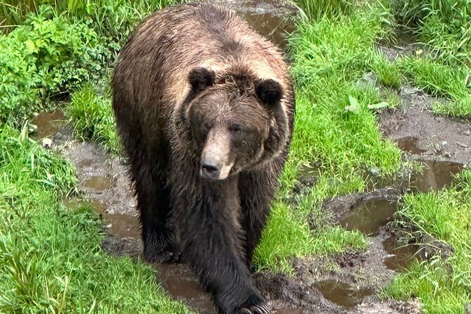 Sitka Scenic Private Tour - Reviews and Feedback