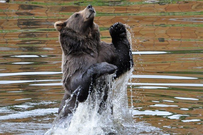Sitka Scenic Tour - Pricing and Value