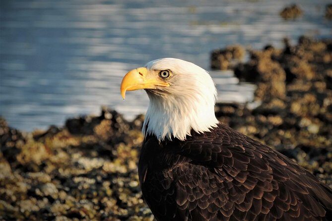 Sitka Scenic Tour - FAQ