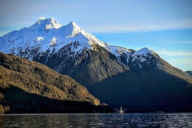 Sitkas Private Wildlife Whale Adventure for 6 w/Transportation - An In-Depth Look at the Wildlife/Whale Watching Tour