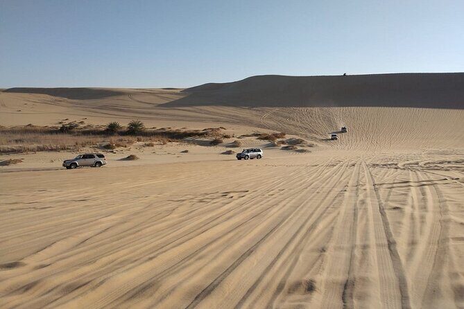 Siwa Sunset Desert Safari Sand board activity & Optional Dinner - What’s Included and What to Consider