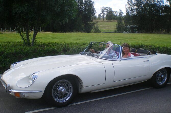 Six-Bridges-of-Sydney-Vintage-Car-Ride-Experience - A Deep Dive into the Experience