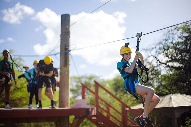Six Zipline Adventure with Waikiki Transportation - What to Expect from the Coral Crater Zipline Tour
