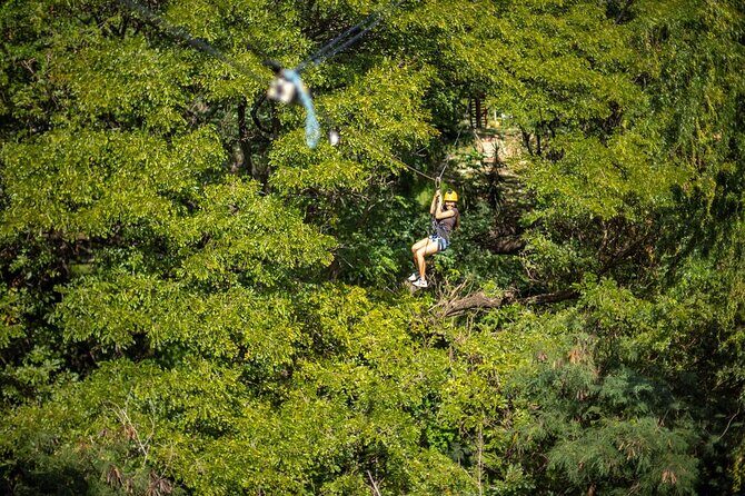 Six Zipline Adventure with Waikiki Transportation - Who Should Consider This Tour?