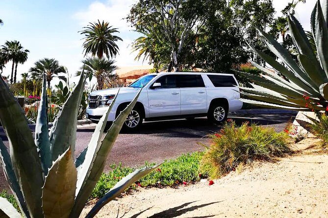 SJD Airport to Cabo San Lucas - One way service - Who Should Consider This Service?