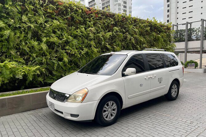 SJU Airport To/From San Juan Hotels, Airbnb, Ports - The Bottom Line: Is It Worth It?