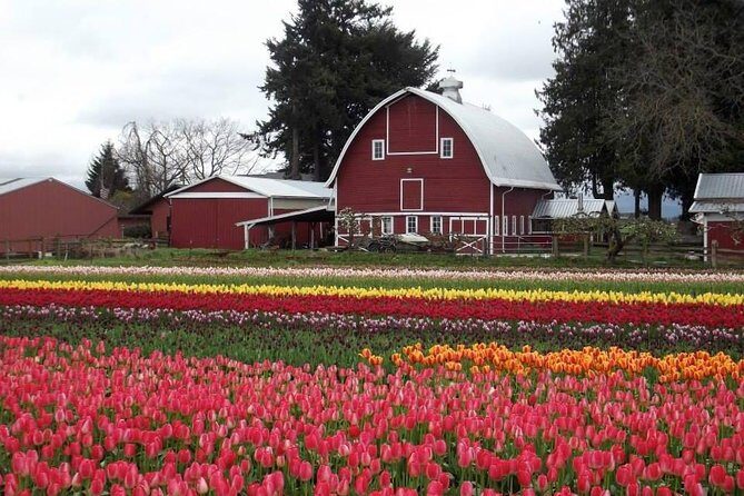 Skagit Valley Tulip Festival Day Tour from Seattle - Authentic Experiences and Traveler Feedback