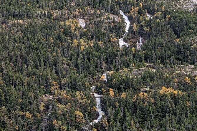 Skagway City & Summit Tour - Practical Considerations