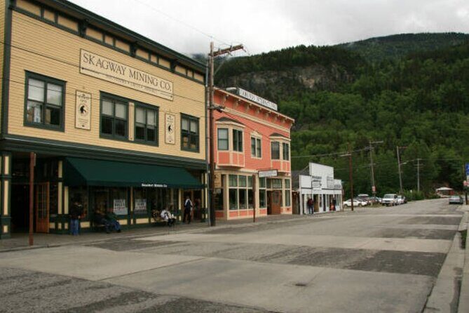 Skagway City Tour and White Pass Summit Adventure - Practical Details and Tips