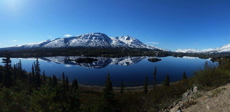 Skagway: Klondike Highway & Yukon Bus Tour with Husky Kennel - Who Would Love This Tour?