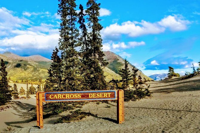 Skagway Shore Excursion: Full-Day Tour of the Yukon - What’s Included & What to Expect