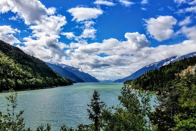 Skagway Shore Excursion: Scenic River Float Tour - What the Reviews Say
