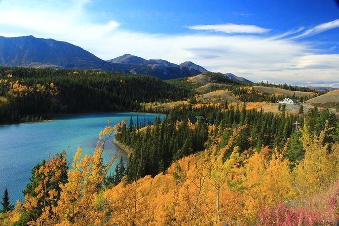 Skagway Shore Excursion: Yukon Discovery Tour - Introduction