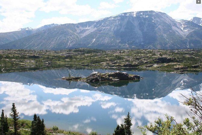 Skagway Shore Excursion: Yukon Dog Sledding and Sightseeing Tour - FAQs