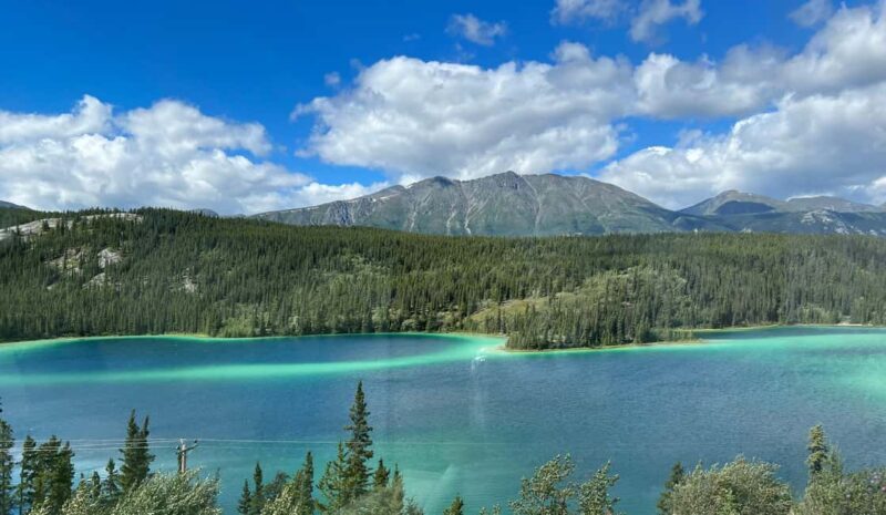 Skagway: Yukon Discovery Tour - Key Points