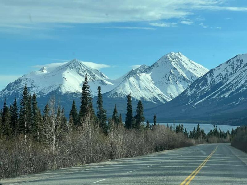 Skagway: Yukon Discovery Tour - Exploring the Itinerary: What to Expect on the Yukon Discovery Tour