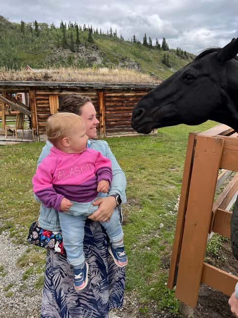 Skagway: Yukon Discovery Tour - Real Traveler Insights and Authentic Experiences