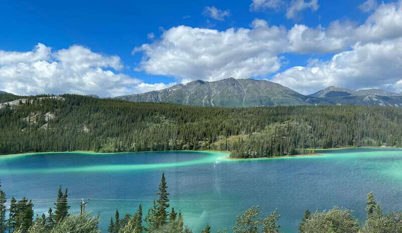 Skagway: Yukon Dog Mushing & Sightseeing Tour - An In-Depth Look at the Tour Experience