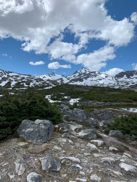 Skagway: Yukon Suspension Bridge & Summit Tour - Practical Details & Considerations