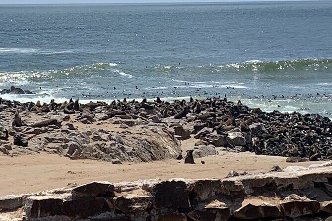 Skeleton Coast Cape Cross Seal colony Tour - Who Should Consider This Tour?