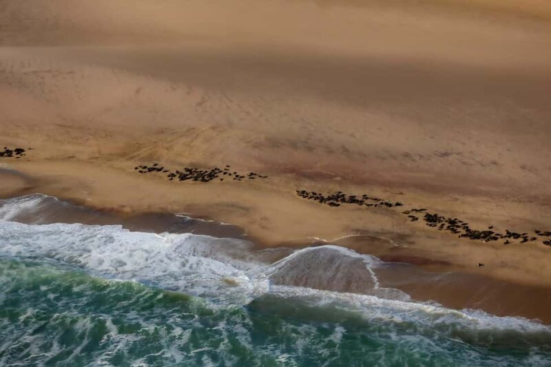 Skeleton Coast Park & Ship Wrecks - A Deep Dive into the Skeleton Coast Experience
