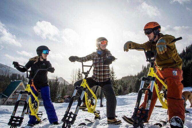 Ski Bike Rental in South Lake Tahoe - What is Ski Biking in South Lake Tahoe?