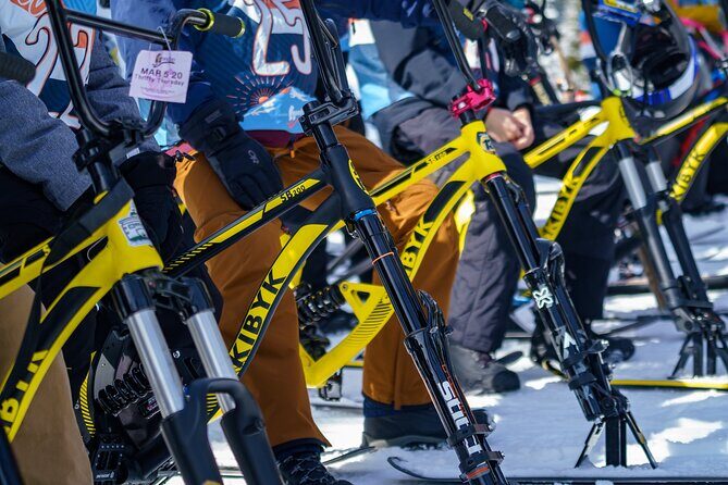 Ski Bike Rental in South Lake Tahoe - The Realities of the Experience (Based on Reviews)