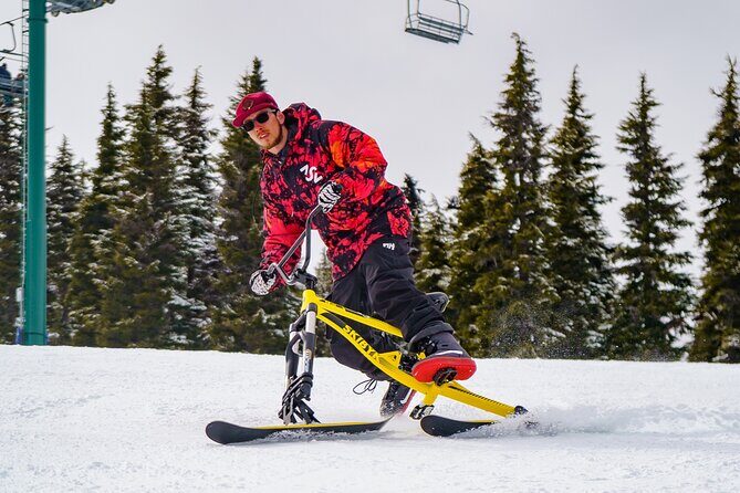Ski Bike Rental in South Lake Tahoe - Pricing and Value