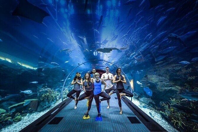 Ski Dubai Tickets with options - What to Expect from Your Day at Ski Dubai and Dubai Aquarium