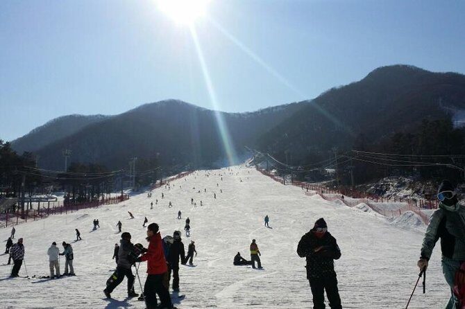 Ski Tour to Jisan Ski Resort from Seoul - An Introduction to the Snowy Adventure