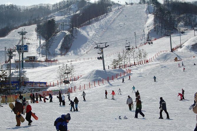 Ski Tour to Jisan Ski Resort from Seoul - Who Should Consider This Tour?