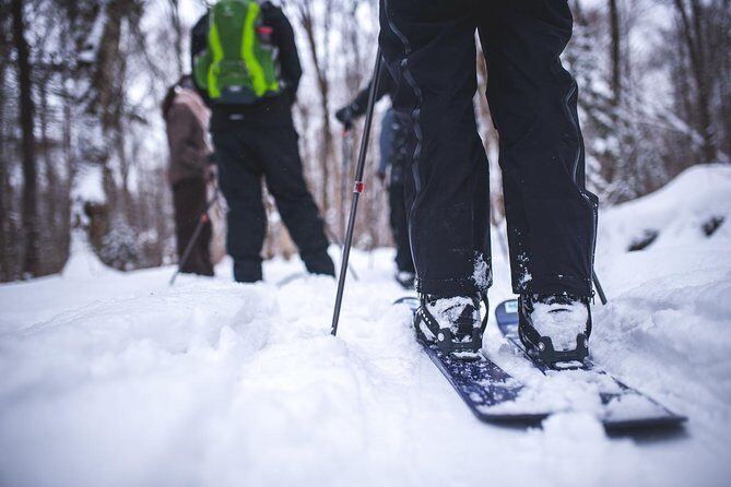Skiing (Hok Ski) Excursion in Jacques-Cartier National Park - What to Expect on the Tour