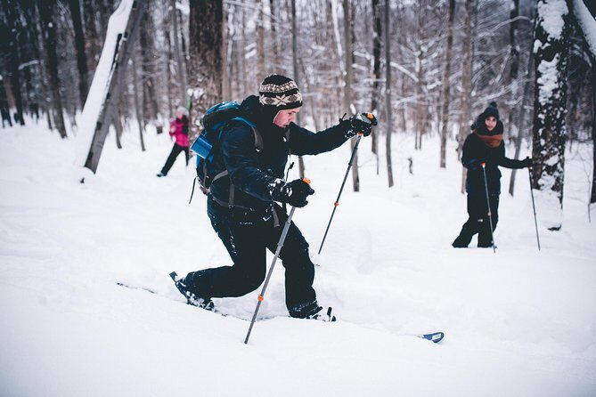 Skiing (Hok Ski) Excursion in Jacques-Cartier National Park - The Sum Up