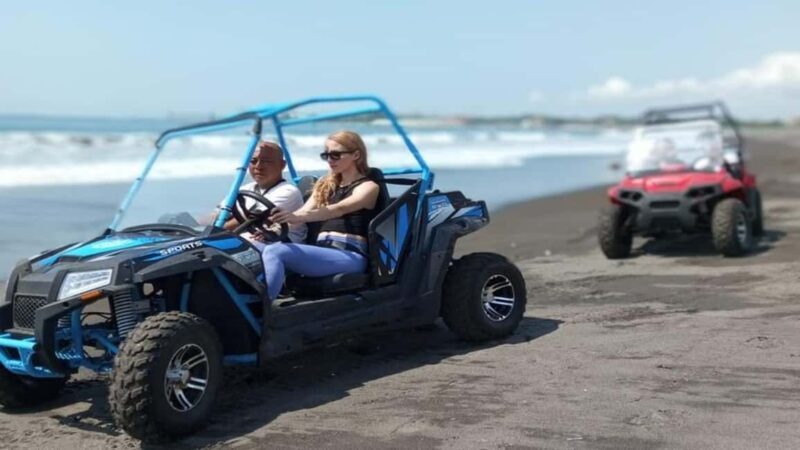 Skikda: Buggy Ride with Guide and Lunch - Key Points