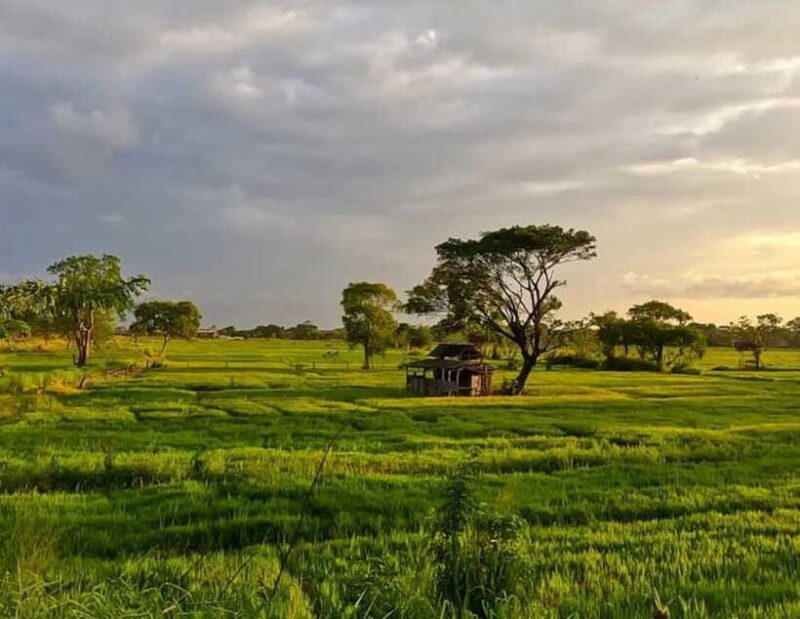 Skip Climbing Sigiriya Lions Rock Relaxing Tuk Tuk Safari - Frequently Asked Questions