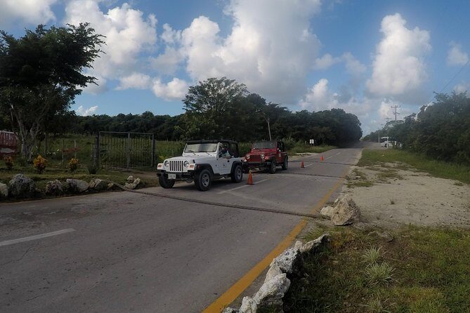 Skip the Line: Admission Ticket to El Cedral Town and Mayan Temple - Who Would Love This Tour?