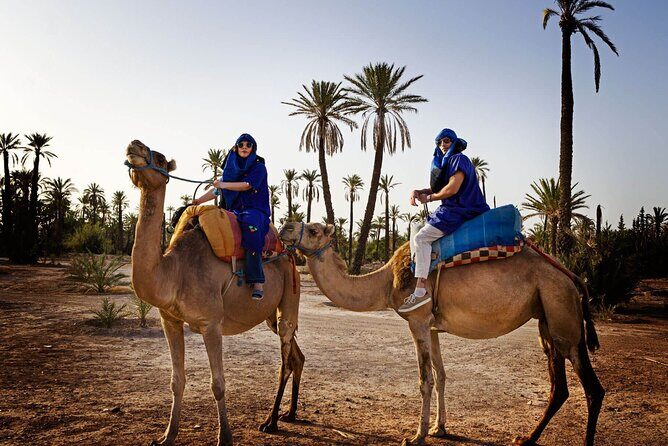 Skip the line at : Majorelle Garden and Palm Garden. - Transportation & Comfort